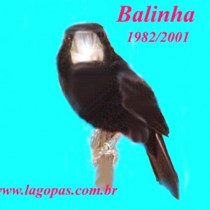 LAGOPAS