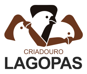 logo.png (46 KB)